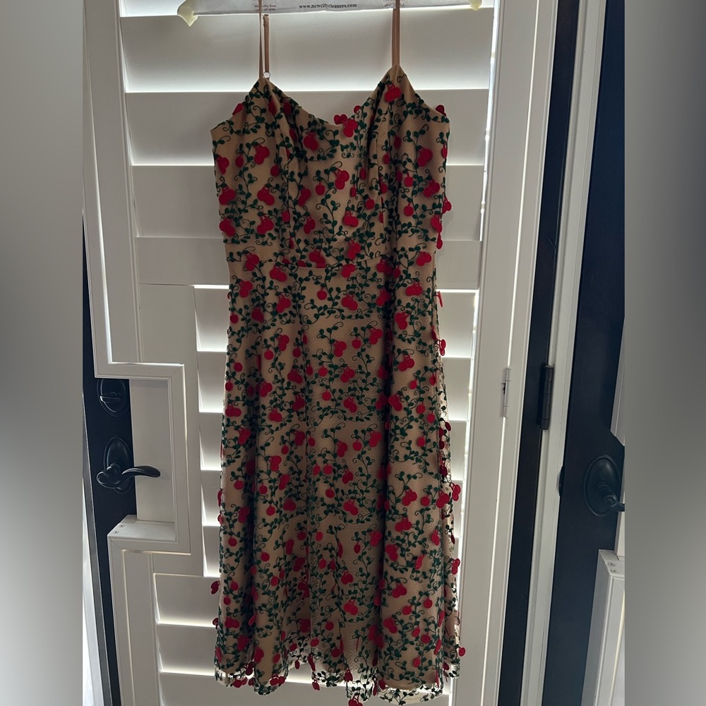 Dress the Population Cherry dress
